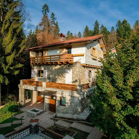 Vila Titulescu - Montepalazzo Chalet Sinaia