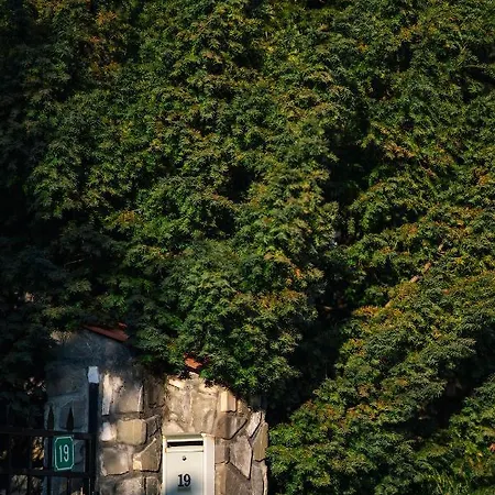 Vila Titulescu - Montepalazzo